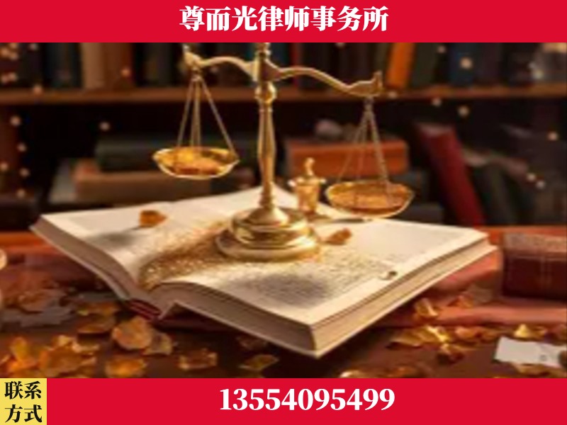 靖西-刑事诉讼律师