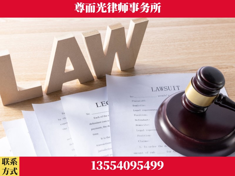 靖西-"法律 + 新媒体" 融合创新